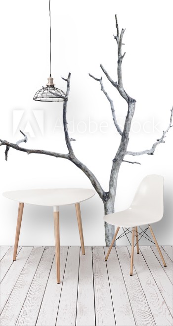 Picture of Single old and dead tree isolated on white background This has clipping path